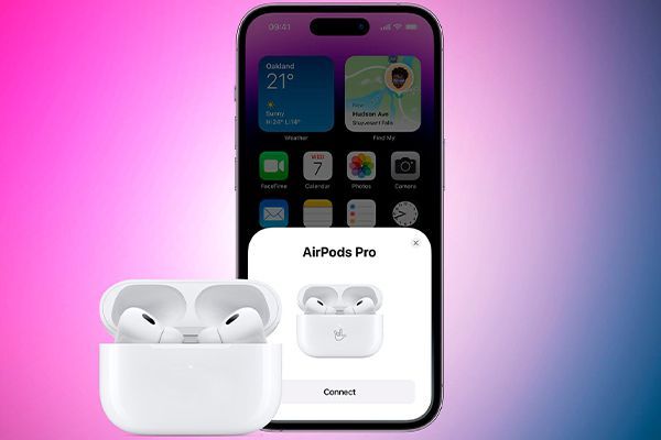 8800808.jpg